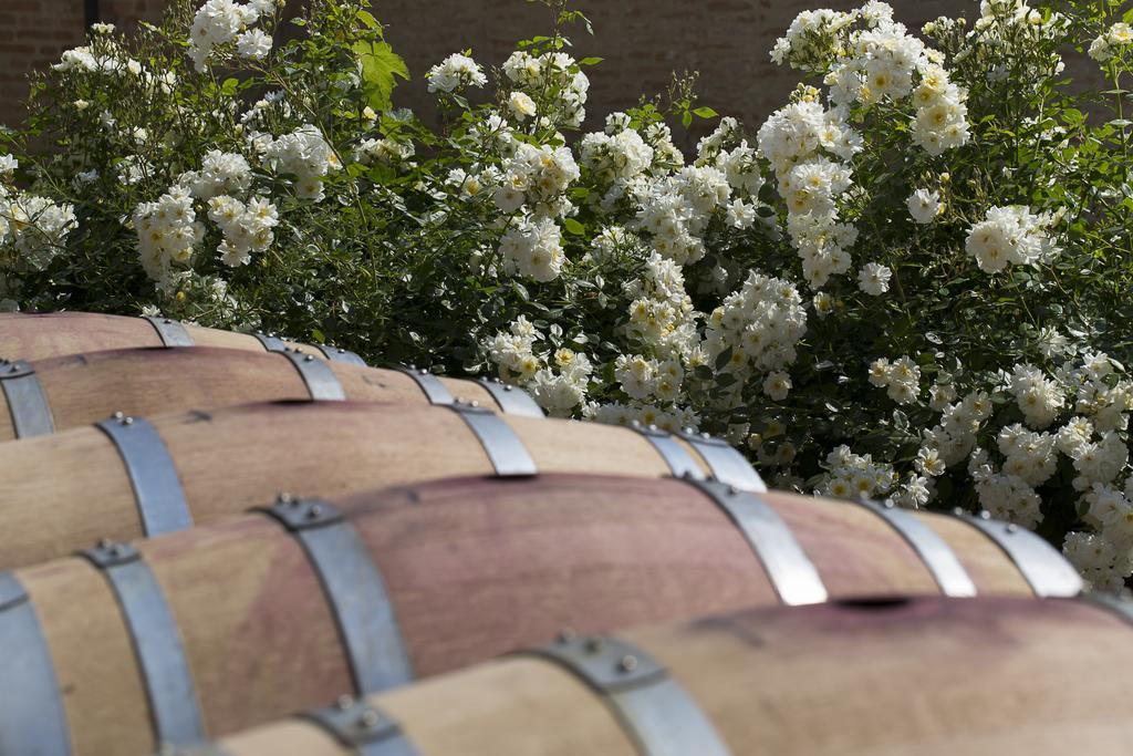 Marchesi Alfieri - Cantine E Ospitalita San Martino Alfieri Exterior photo
